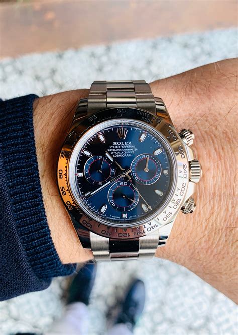 daytona rolex blue dial